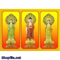 Phật Giáo